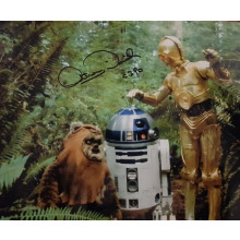 Autografo Star Wars Anthony Daniels 3 -Foto 20x25